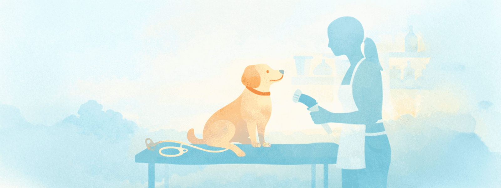 Festive woodland dogs illustration for dog services